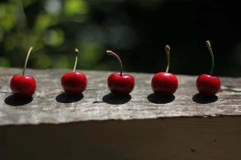 Cherries Stock-Fotos