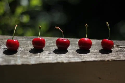 Cherries Stock-Fotos