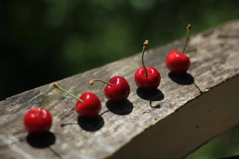 Cherries Stock-Fotos