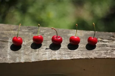 Cherries Stock-Fotos