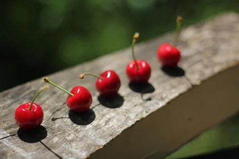 Cherries Stock-Fotos