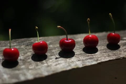 Cherries 库存照片