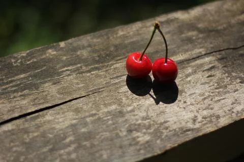 Cherries 스톡 사진