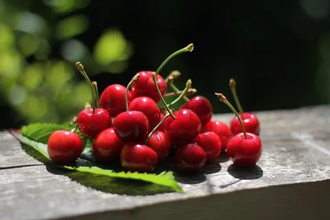 Cherries Stock-Fotos