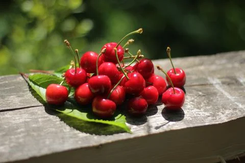 Cherries Stock-Fotos