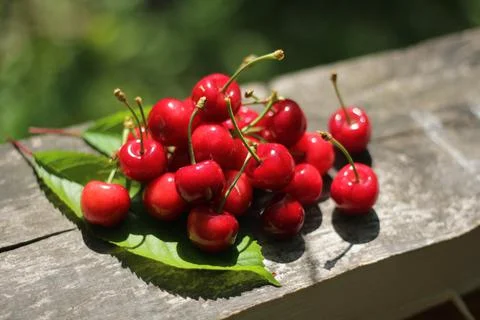 Cherries Stock-Fotos
