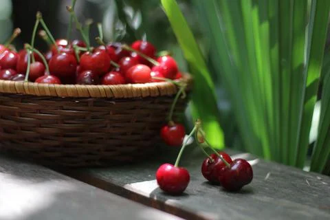Cherries Stock-Fotos