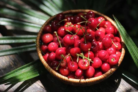 Cherries 스톡 사진