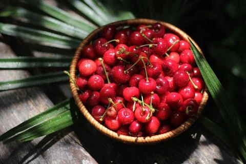Cherries 스톡 사진