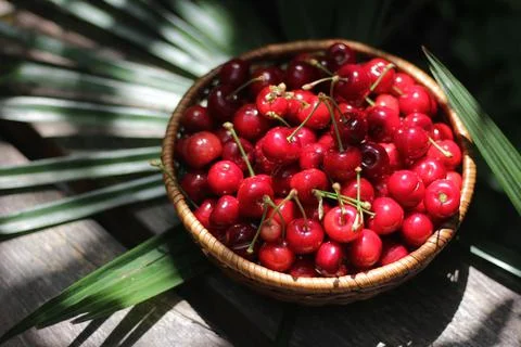Cherries 库存照片