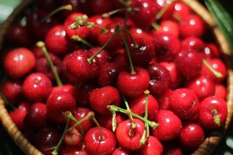 Cherries Stock Photos