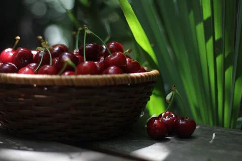 Cherries Stock-Fotos