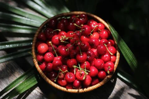 Cherries Stock-Fotos