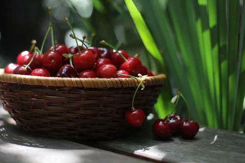Cherries 库存照片