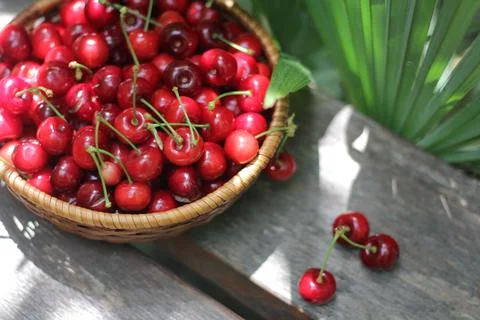 Cherries Stock-Fotos
