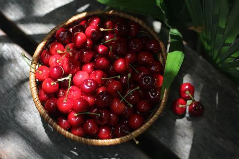 Cherries Stock-Fotos