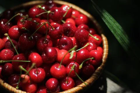 Cherries 스톡 사진