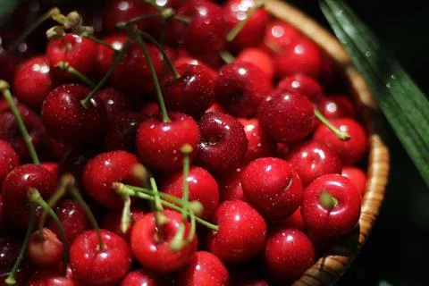 Cherries Stock-Fotos