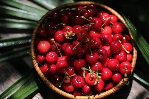 Cherries Stock-Fotos