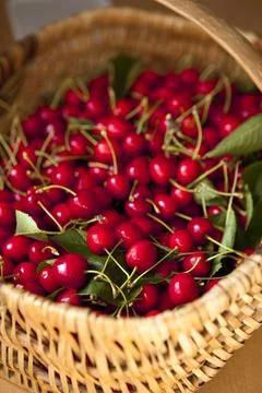 Cherries Stock Photos