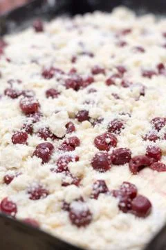 Cherries on the prepared dough ready for baking Stock Photos