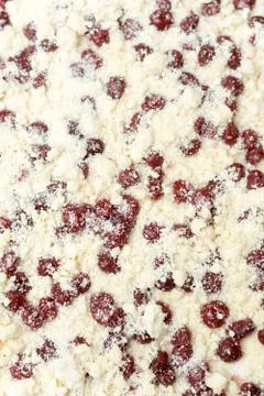 Cherries on the prepared dough ready for baking Stock Photos