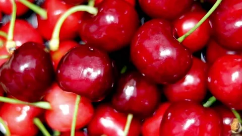 Cherries rotate the clockwise 3 cycles in 39-sec. Variable focus. Loopable. Stock Footage 196985484
