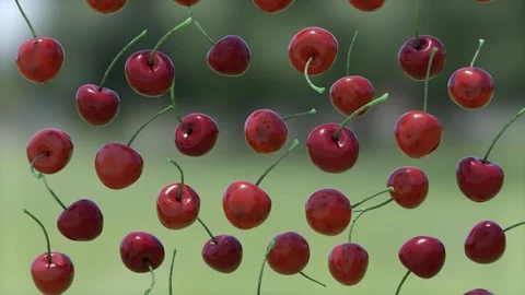 Cherries slowly tumbling in a Loop Stock Footage 109603350