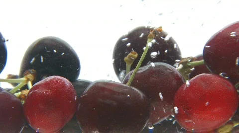 Cherries splash in the water Видео 532797
