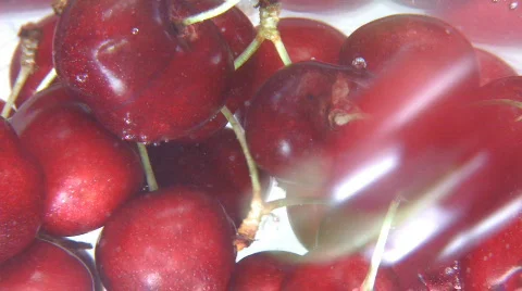 Cherries splash in the water Stock Footage 541245