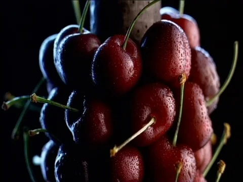Cherries spritzed Stock Footage 84110097