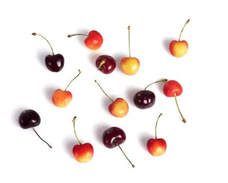 Cherries in studio Stock Photos