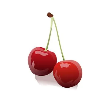 Cherries vector illustration Stock Illustration