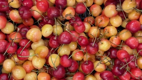 Cherries with vibrant red and yellow hues, providing a fresh and colorful f.. Stock Footage 344419185