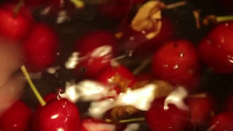 Cherries in water Stock Footage 77050885