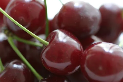Cherries on white background Stock Photos