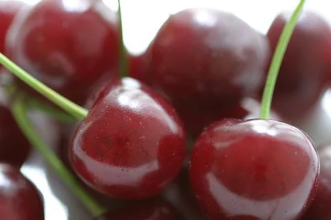 Cherries on white background Stock Photos