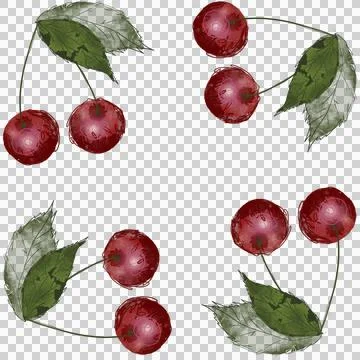 Cherry 2 Stock Illustration