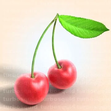 Cherry 3D Model