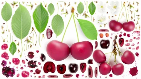 Cherry Abstract Collection Stock Footage 152331871