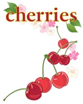 Cherry abstract Stock Illustration