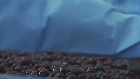 Cherry and fruit juice factory Stock Footage 137470876
