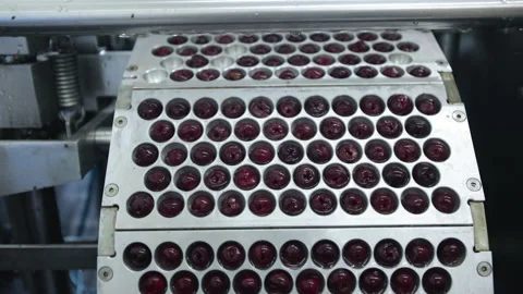 Cherry and fruit juice factory Stock Footage 137486513