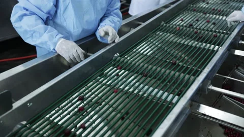 Cherry and fruit juice factory Stock Footage 137488136