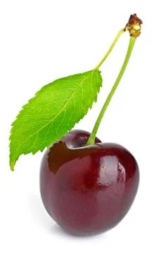Cherry and green leaf Stock Photos