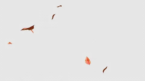 Cherry Autumn Leaves Falling Animation - Seamless Loop 4K Stock Footage 340628285
