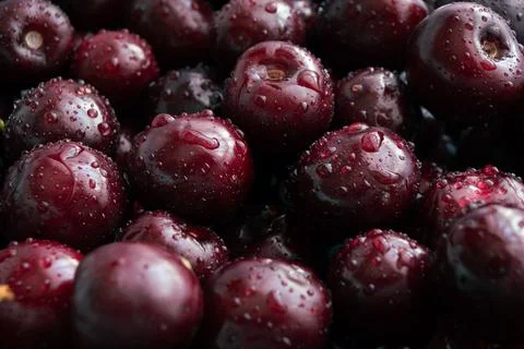 Cherry background. Black sweet cherry with drops of water close-up Foto stock