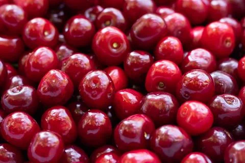 Cherry background. Cherry top view. Sour cherry flat design. Fruit macro. Stock-Fotos