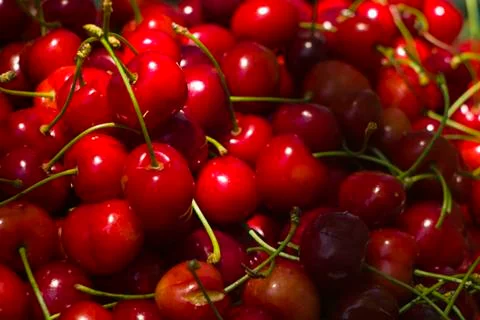 Cherry background Stock Photos
