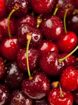 Cherry background Stock Photos